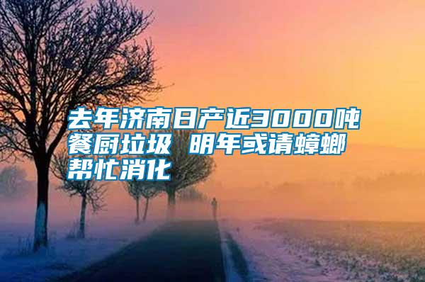 去年濟南日產(chǎn)近3000噸餐廚垃圾 明年或請蟑螂幫忙消化