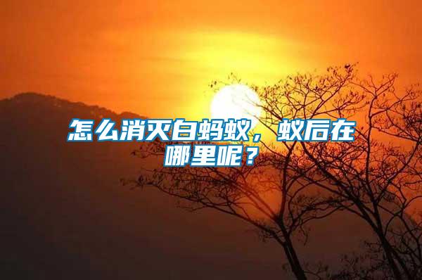 怎么消滅白螞蟻，蟻后在哪里呢？