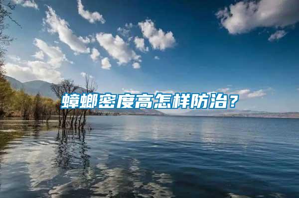 蟑螂密度高怎樣防治？