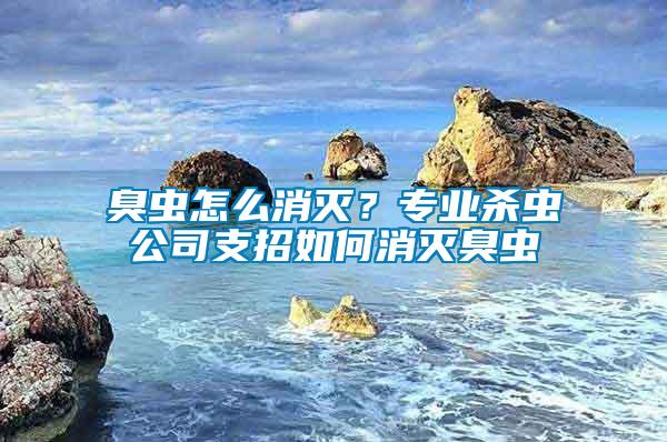 臭蟲怎么消滅？專業殺蟲公司支招如何消滅臭蟲