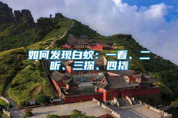 如何發(fā)現(xiàn)白蟻：一看、二聽(tīng)、三探、四撬