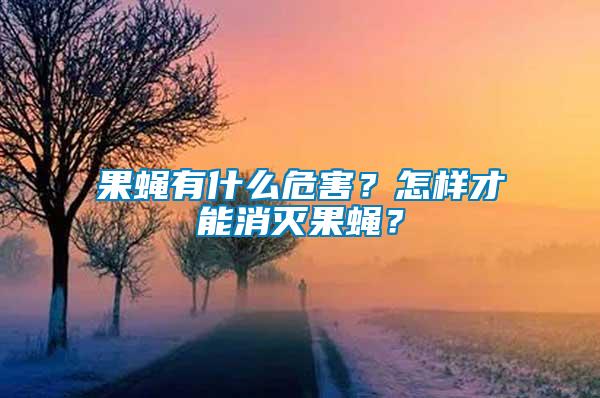 果蠅有什么危害？怎樣才能消滅果蠅？