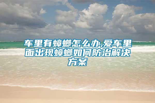 車(chē)?yán)镉畜朐趺崔k,愛(ài)車(chē)?yán)锩娉霈F(xiàn)蟑螂如何防治解決方案