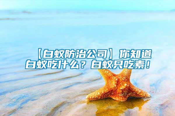 【白蟻防治公司】你知道白蟻吃什么？白蟻只吃素！