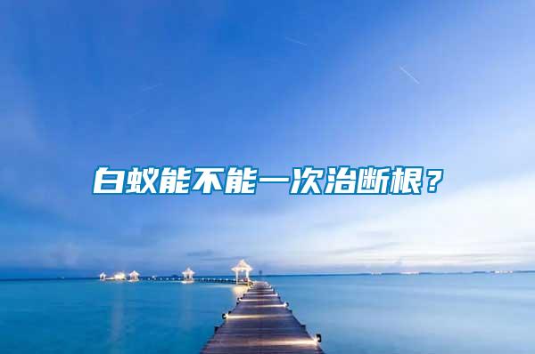 白蟻能不能一次治斷根？
