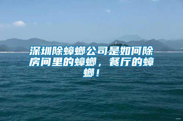 深圳除蟑螂公司是如何除房間里的蟑螂，餐廳的蟑螂！