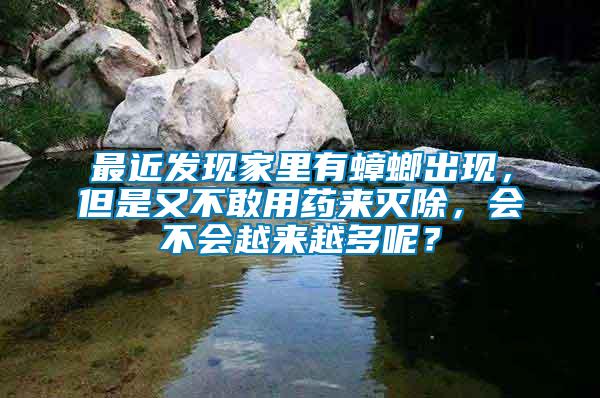 最近發(fā)現(xiàn)家里有蟑螂出現(xiàn)，但是又不敢用藥來滅除，會(huì)不會(huì)越來越多呢？
