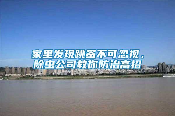 家里發現跳蚤不可忽視，除蟲公司教你防治高招