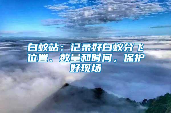 白蟻站：記錄好白蟻分飛位置、數量和時間，保護好現場