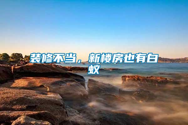 裝修不當(dāng)，新樓房也有白蟻