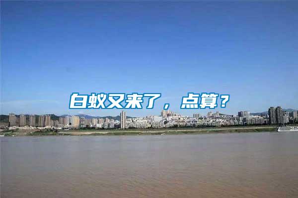 白蟻又來了，點算？